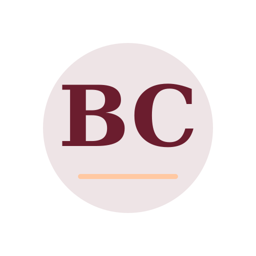 Brkin Chimney Repair logo